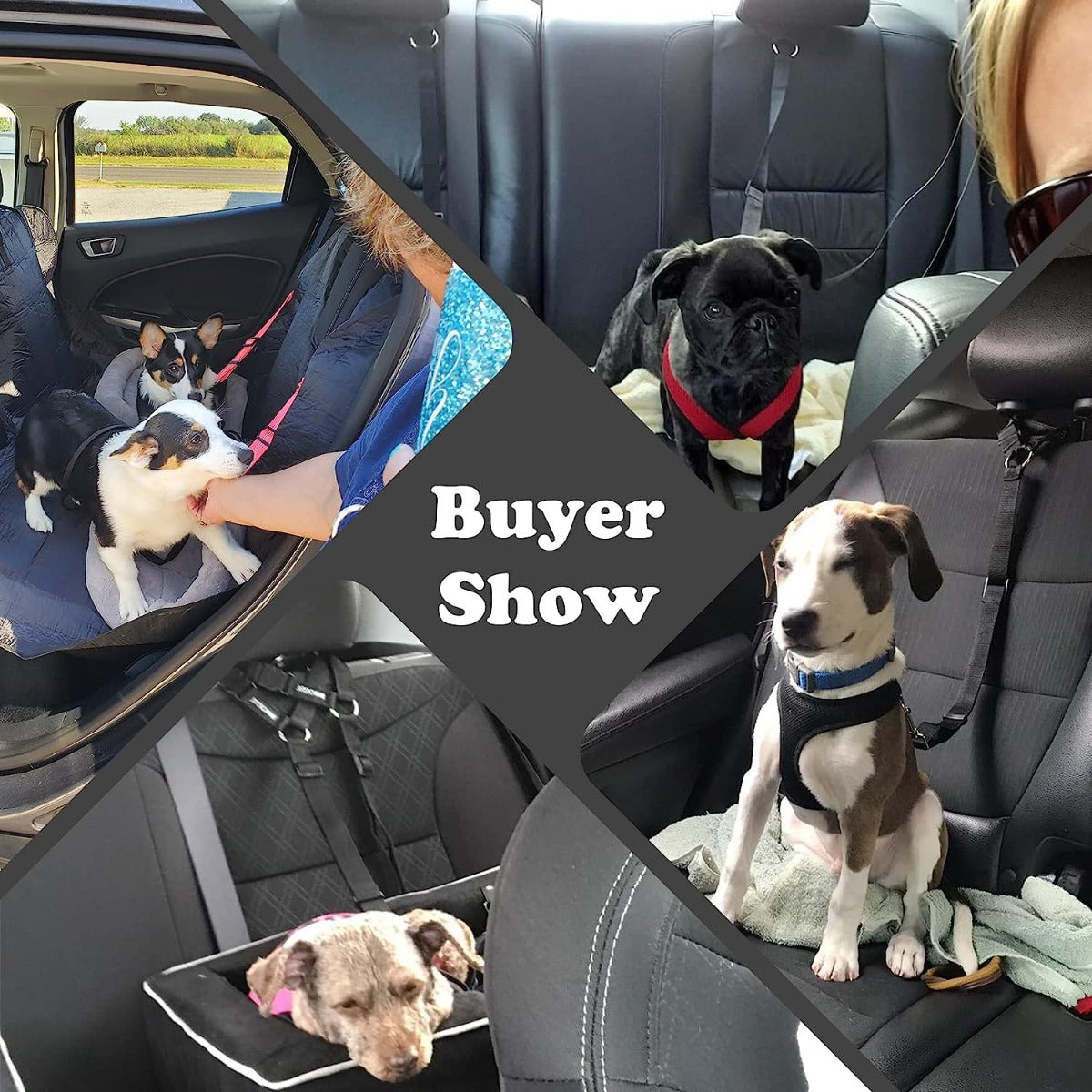 Dog Car Harness Seat Belt