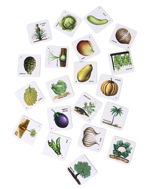 Vegetables and Their Plants Card Game