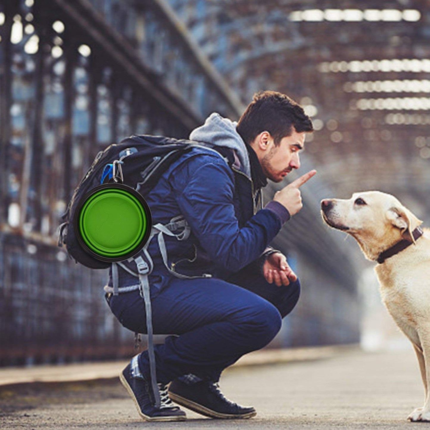 New Designed Food Grade Silicone Pet Bowl -Green
