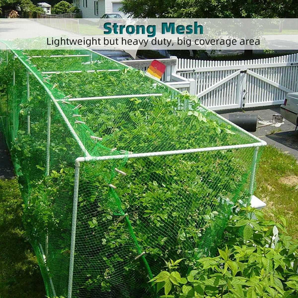 33FT Anti Bird Net