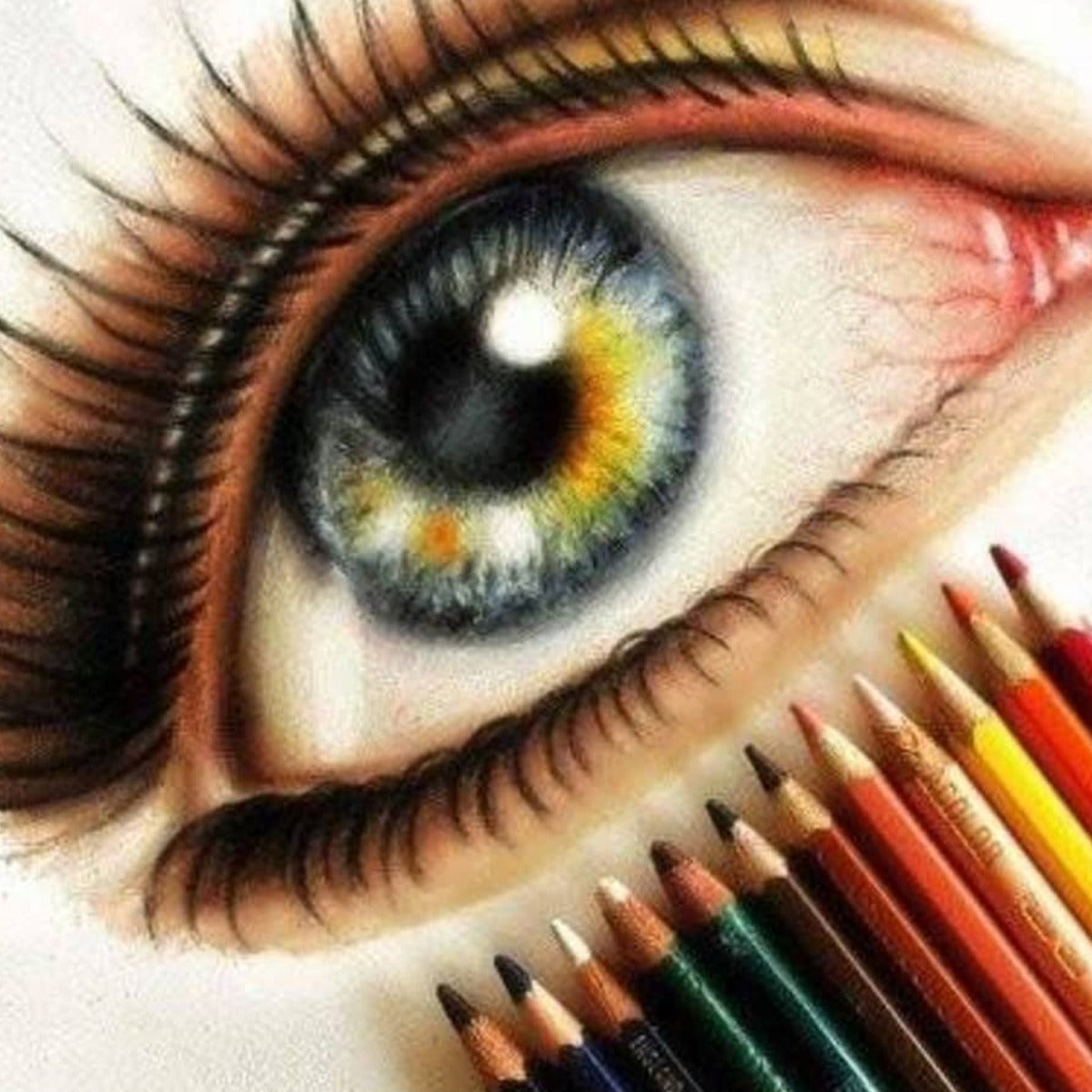 Colour Pencil Bright & Smooth Colouring 24 Shades