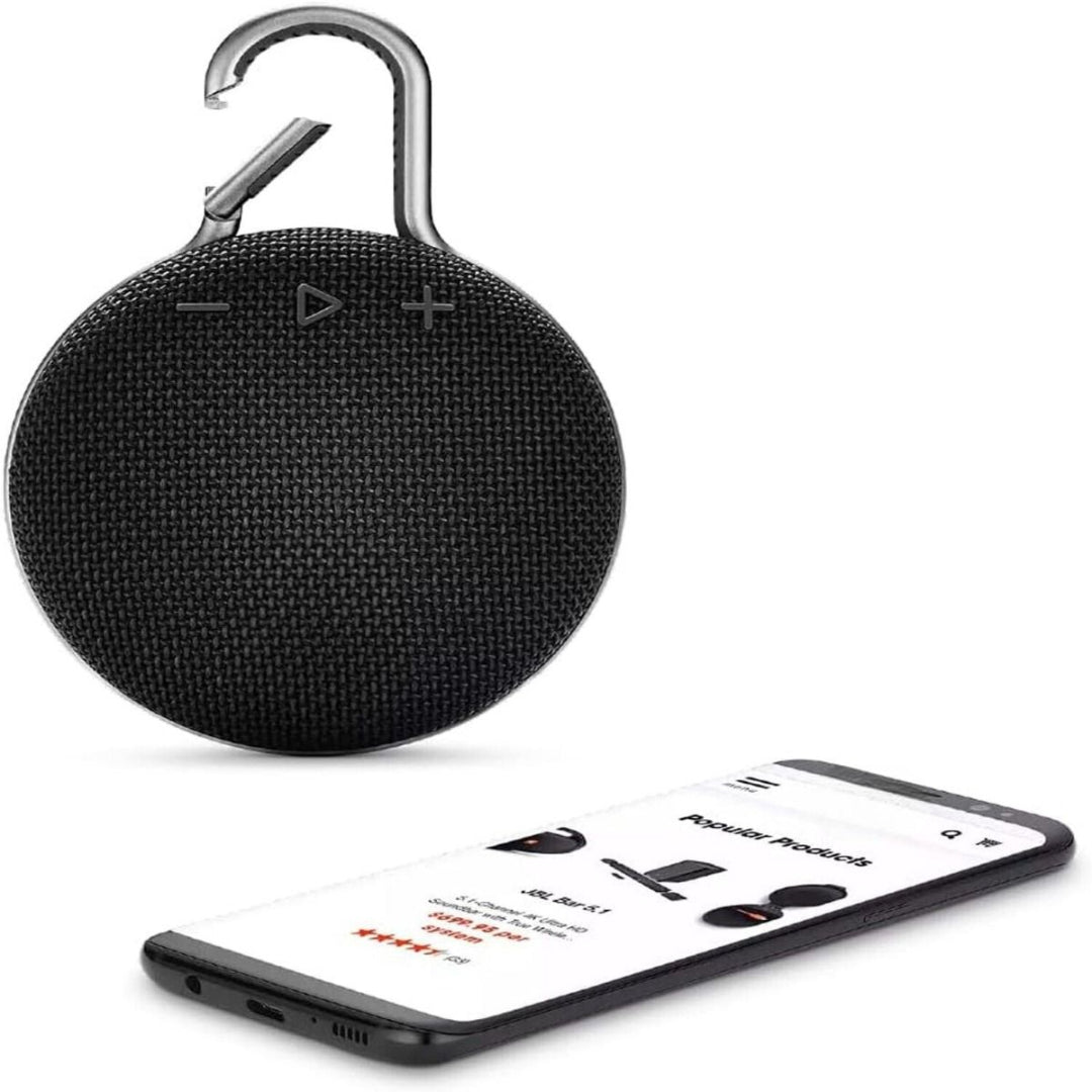 Portable Speaker System