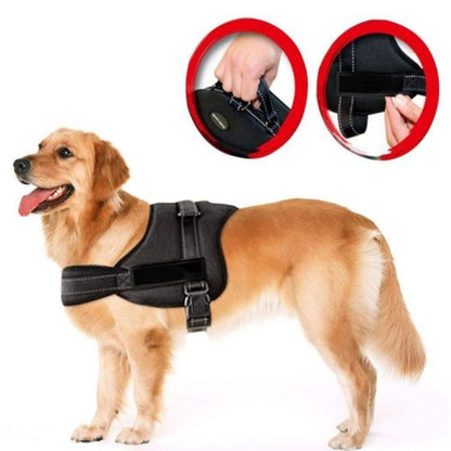 Dog Harness -Black-Small