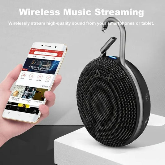 Portable Speaker System