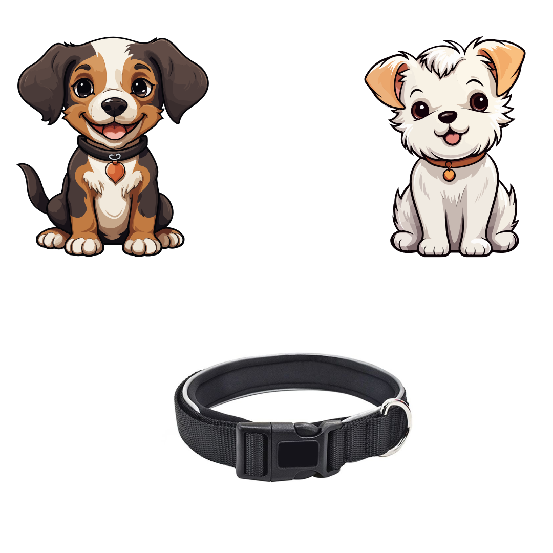 Pet Collar -Black-Medium