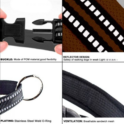 KH-006 chest back belt -Black-Large