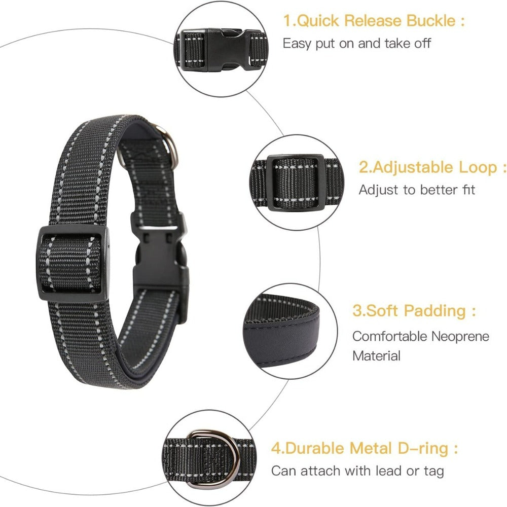 Pet Collar -Black-Large