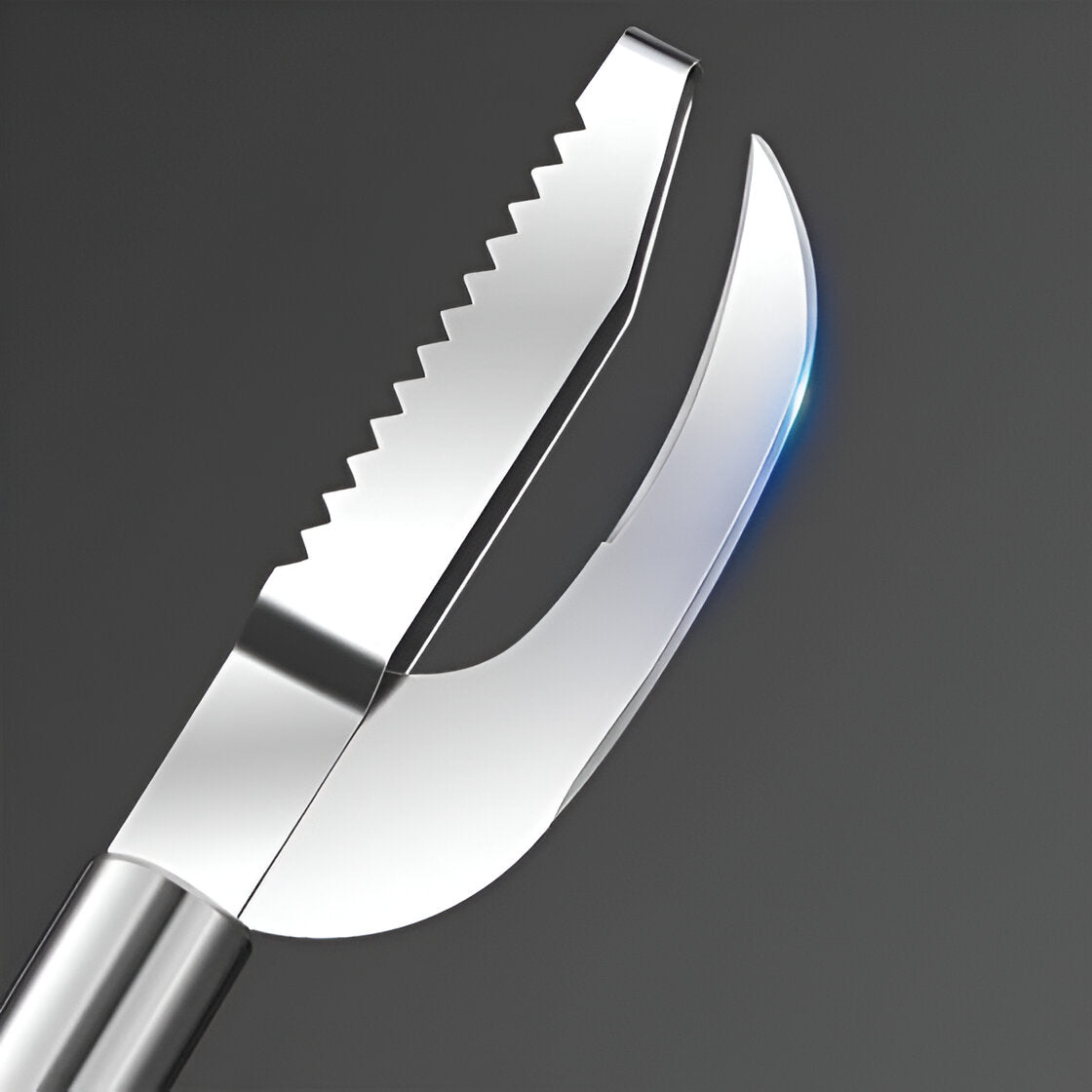 Premium 3-in-1 Stainless Steel Fish Maw Knife