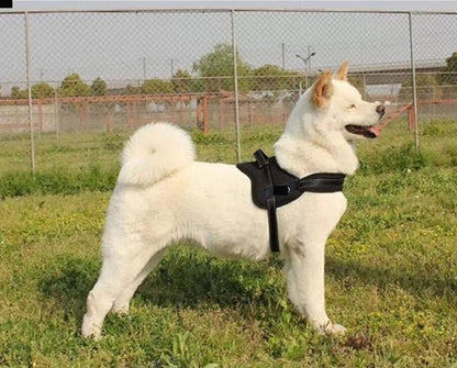 Dog Harness -Black-Large