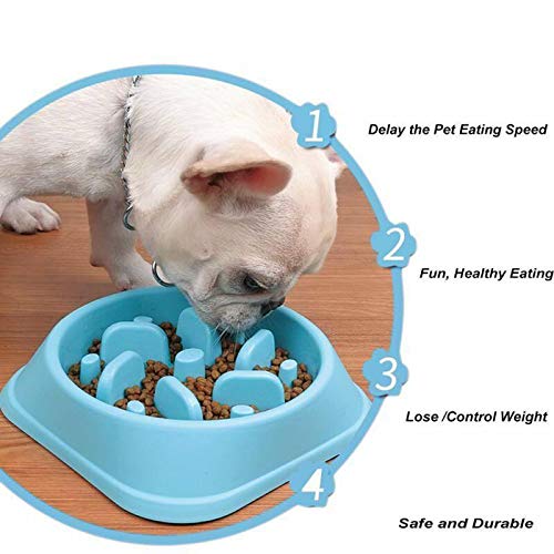 Dog Food Slow Feeder Plastic Bowl BLUE