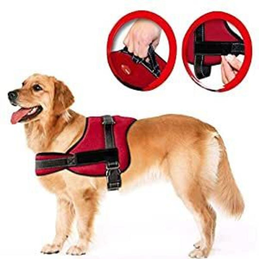 Dog Harness -Red -Large