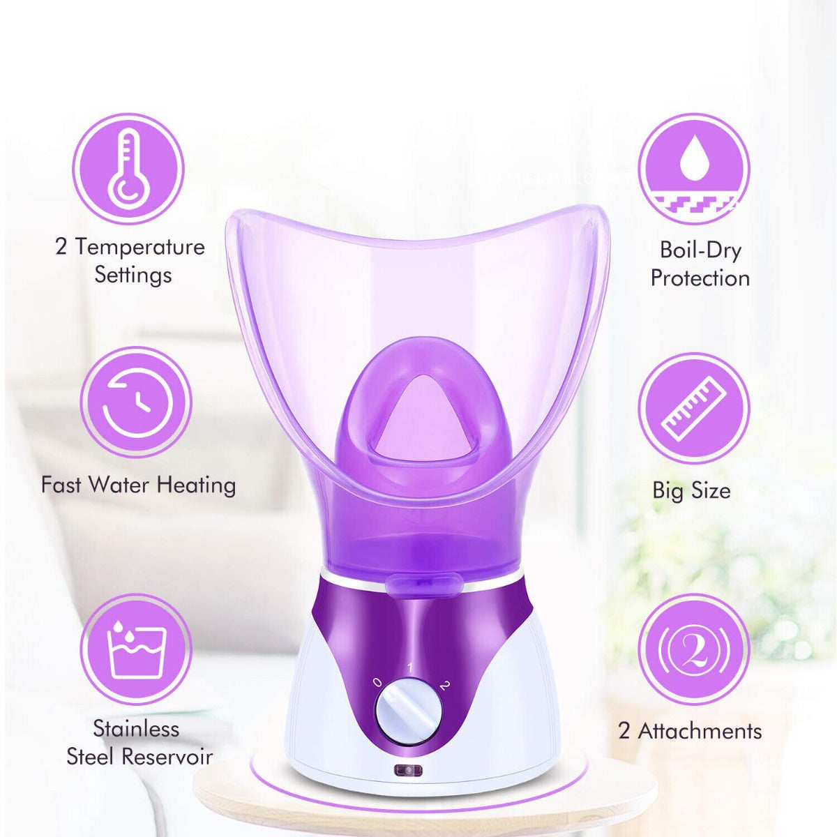 Facial Nose Steamer