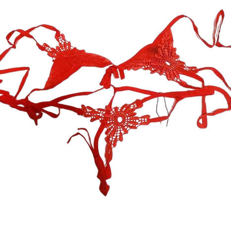 Romantic Red Lingerie: Designed to Impress