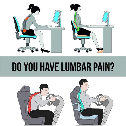 Back Support Cushion