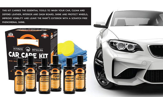 Car Care Cleaning Kit 11 Pcs