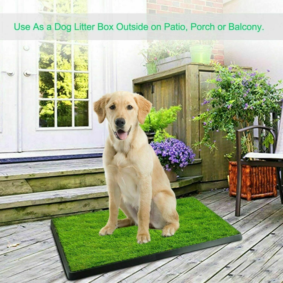 Dog Potty Tray with one Grass mat