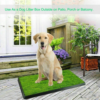 Dog Potty Tray with one Grass mat