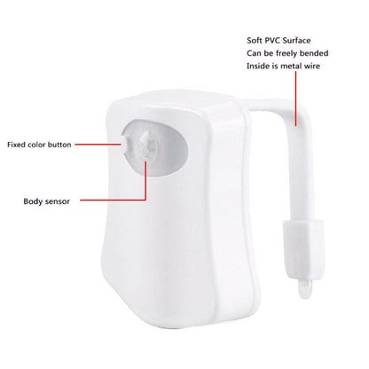 Toilet Night Light