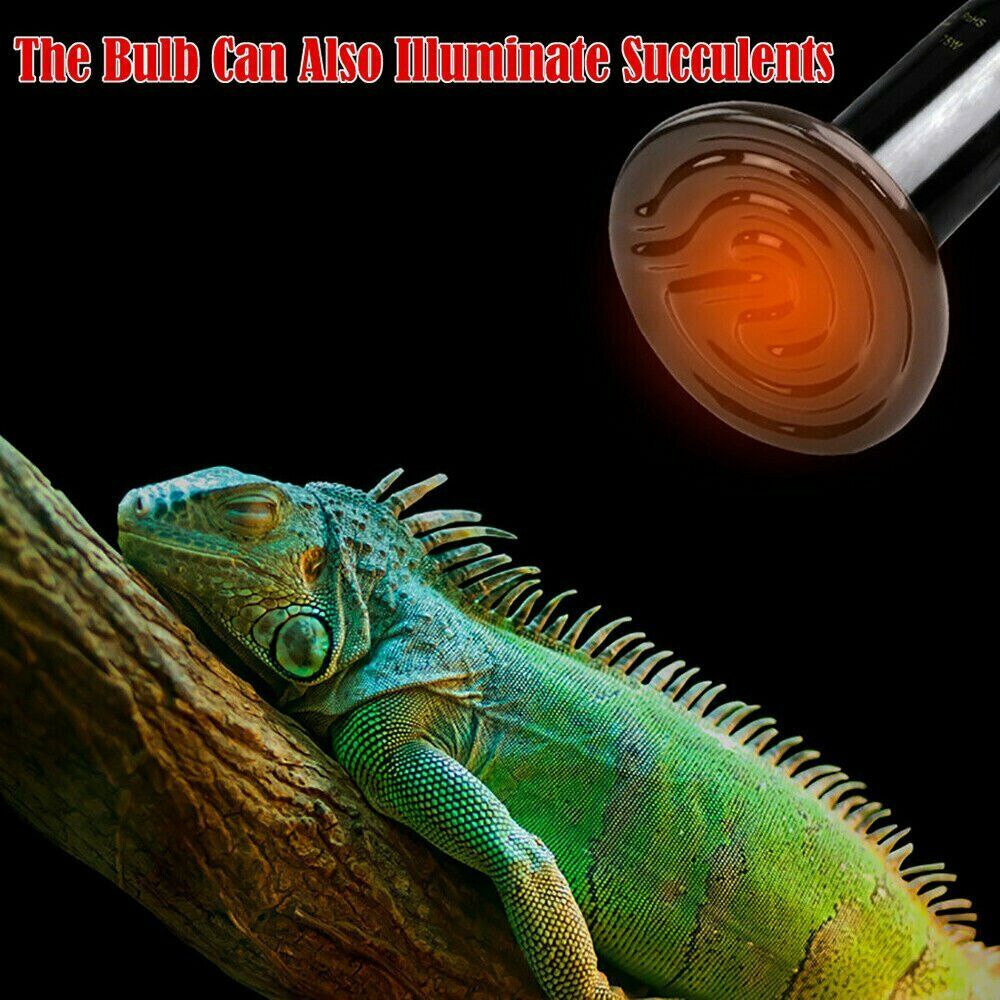 75W Ceramic Reptile Brooder Lamp