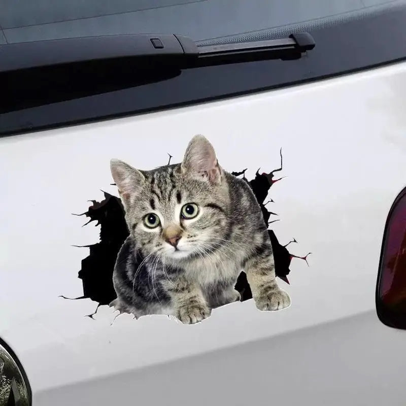 Body Cute Cat Cartoon