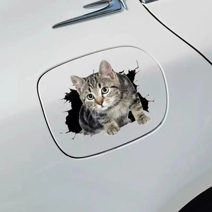 Body Cute Cat Cartoon