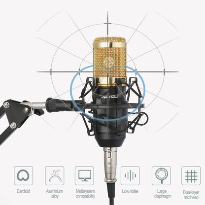 Condenser Microphone