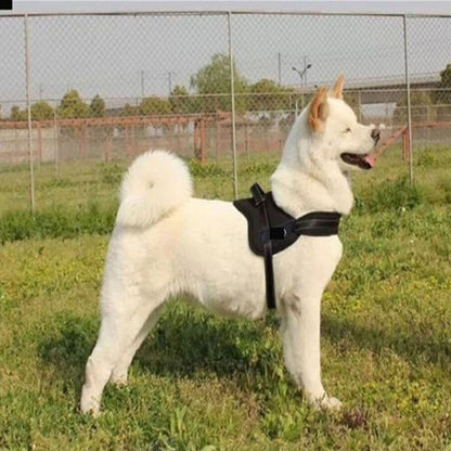 Dog Harness -Black-Small