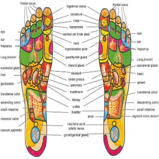 Unisex Magnetic Therapy Massage
