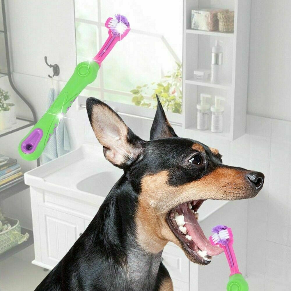 Pet Toothbrush
