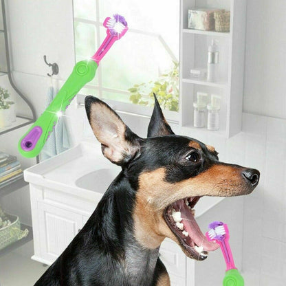 Pet Toothbrush