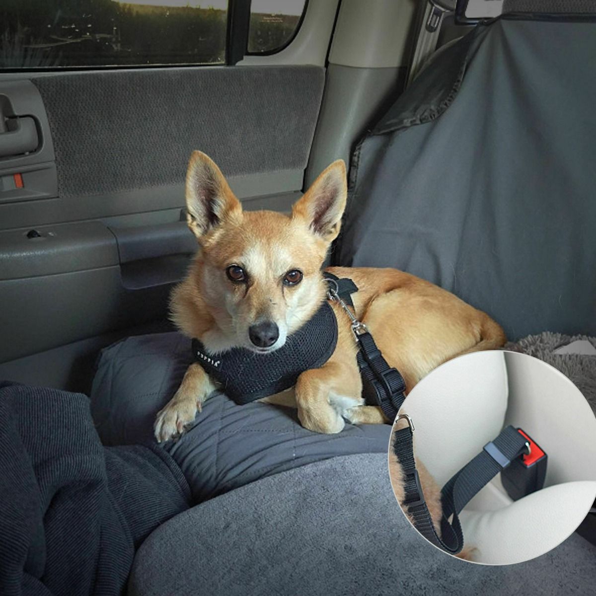 Dog car Seat COVER - 137*147cm & Dog car Seat Belt