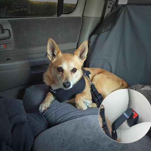 Dog car Seat Belt