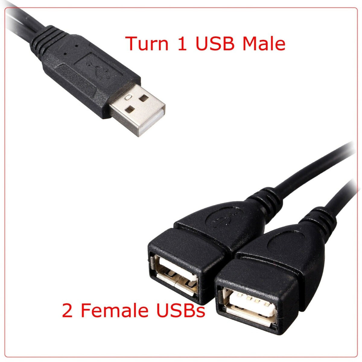 USB Extension A-Male To 2 A-Female