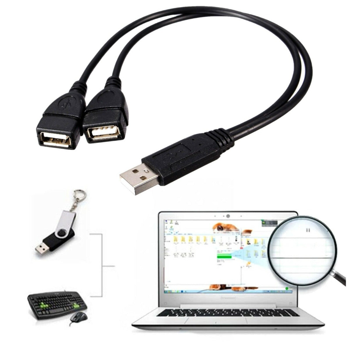 USB Extension A-Male To 2 A-Female