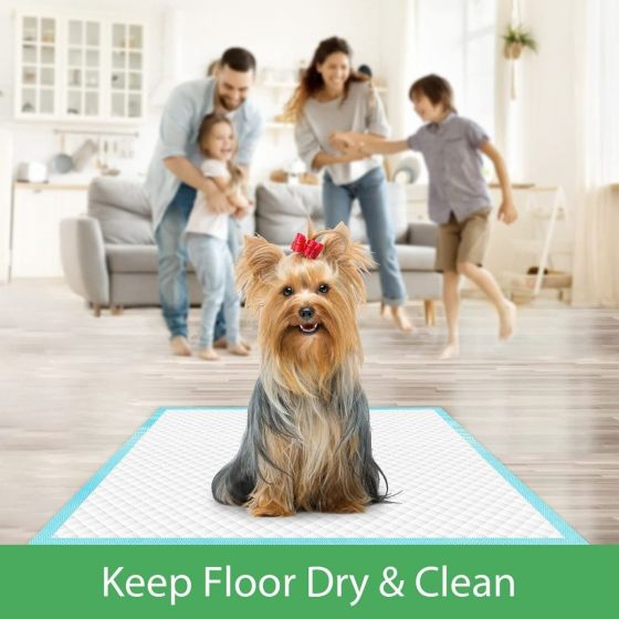 Dog Toilet paper-50 Pcs