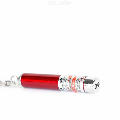 Pet Pointer LED Torch-Red