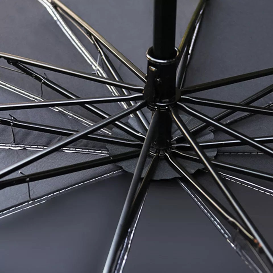 Car Windshield umbrella