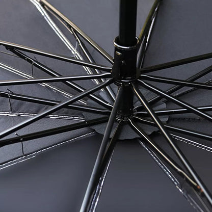 Car Windshield umbrella