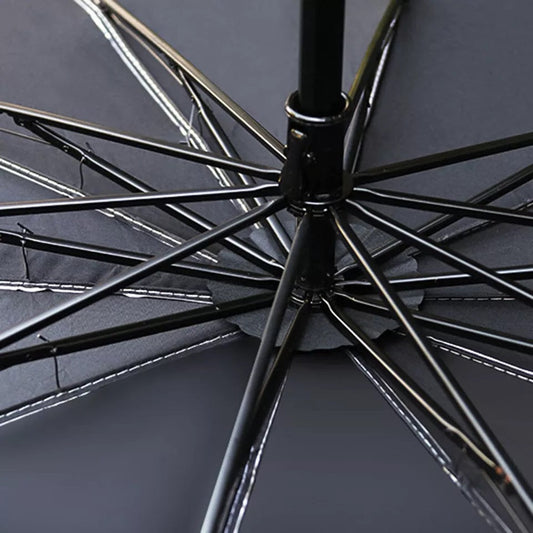 Car Windshield umbrella