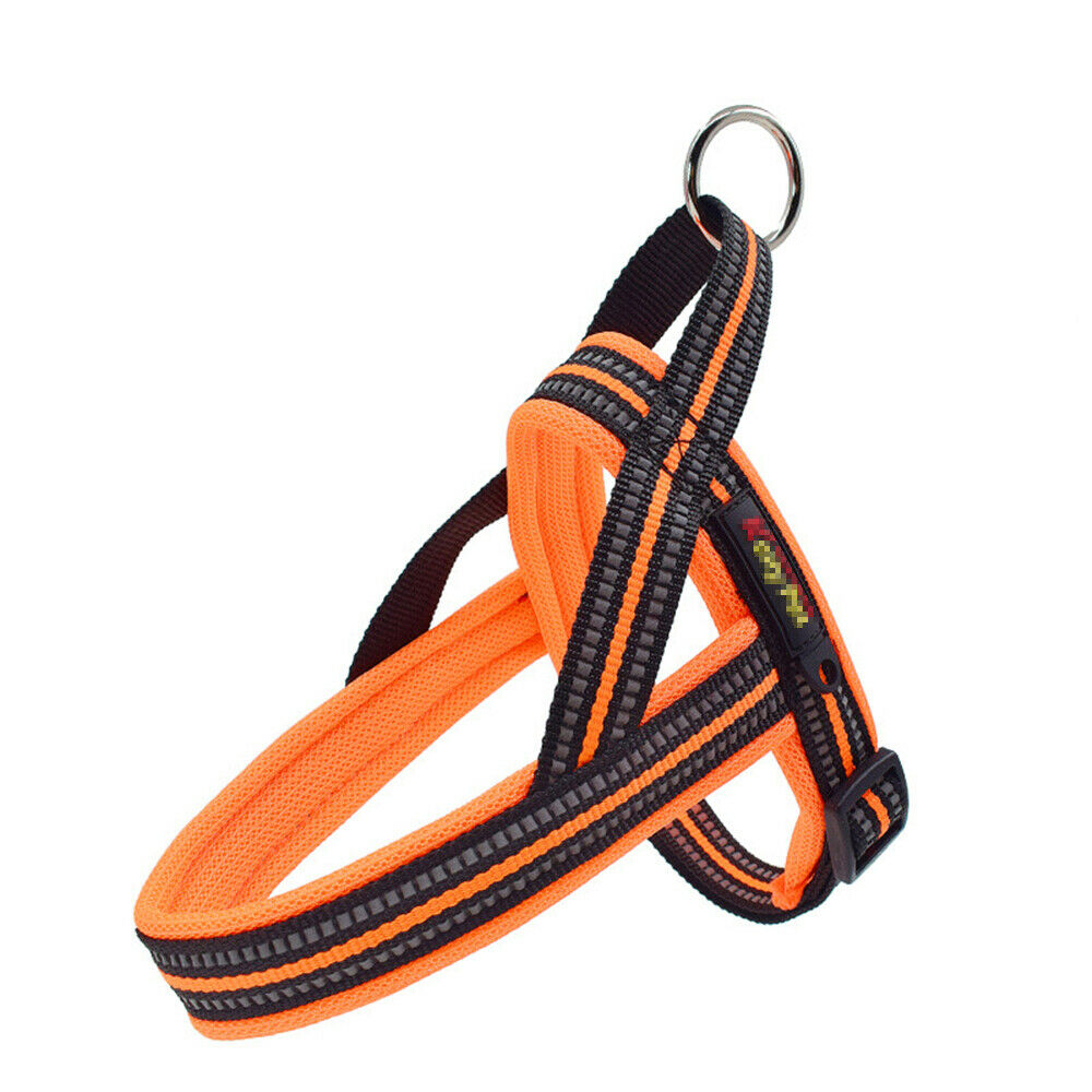 KH-006 chest back belt -Orange-Small