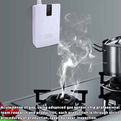 3 IN 1 Poisoning Gas Alarm