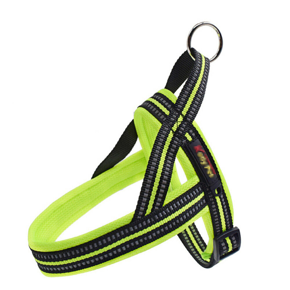 KH-006 chest back belt -Green -Large