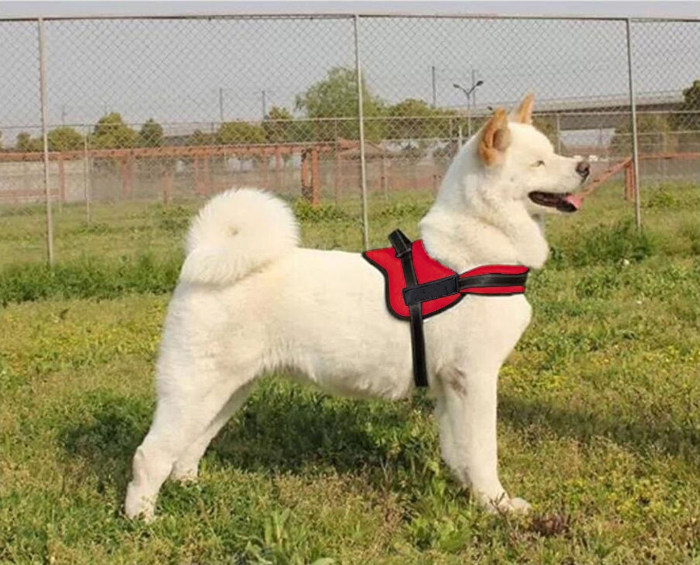 Dog Harness -Red - Small