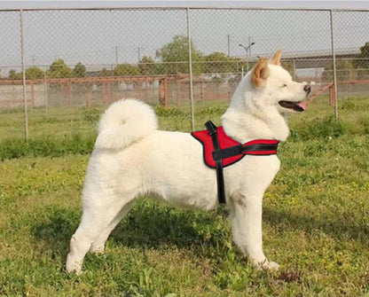 Dog Harness -Red - Small
