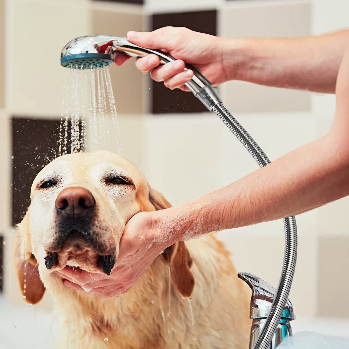 Long Shower Hose